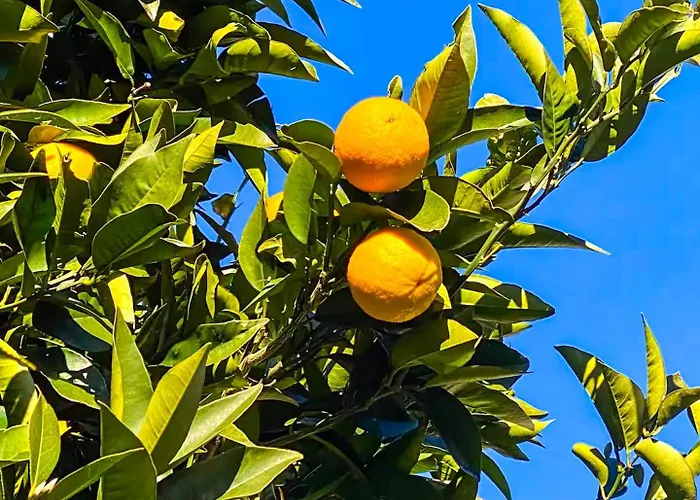 Casa vacanze Casa Bijoux Cannobio